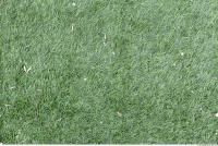 Photo Texture of Plastic Grass 0003